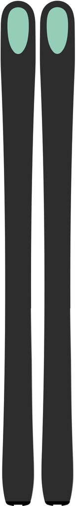 Ski Kastle FX95 2019