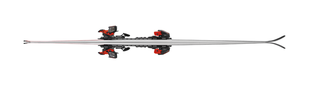 Ski Nordica Dob.Gs Wc Dept Plate 2025 