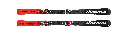 Ski Nordica Dobermann Sl Race Plate 2025 
