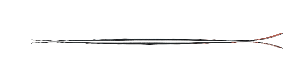 Ski Nordica Unlimited 94 Flat 2025 