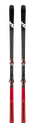 Ski Nordica Dob.Dh Wc Dept Edt Plate 2026 